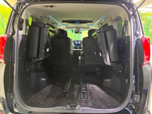 Toyota ALPHARD 2021-02 184918-11
