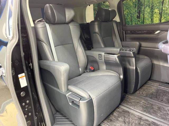 Toyota ALPHARD 2021-02 184918-9