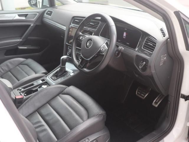 VolksWagen GOLF ALLTRACK 2018-05 189057-13