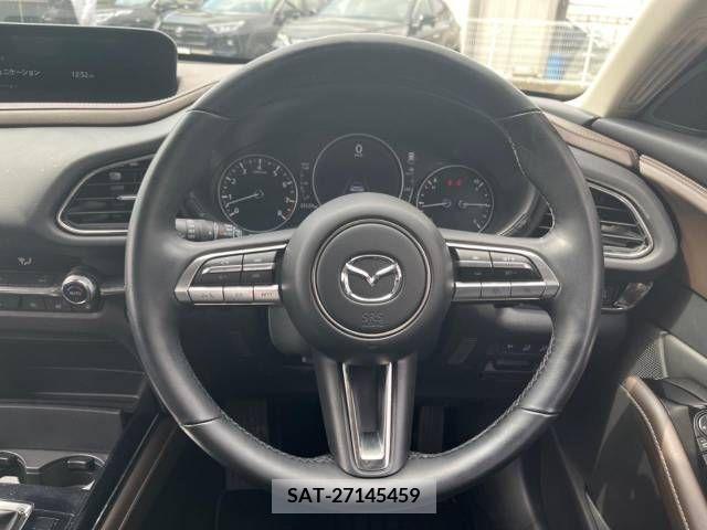 Mazda CX-30 2021-12 236942-11