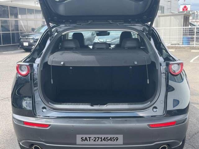 Mazda CX-30 2021-12 236942-10