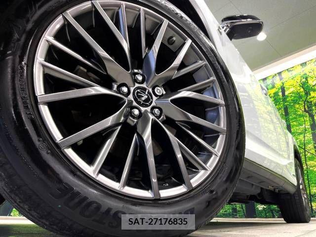Lexus RX 2015-11 354089-13