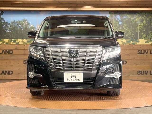 Toyota ALPHARD 2017-03 16989-14