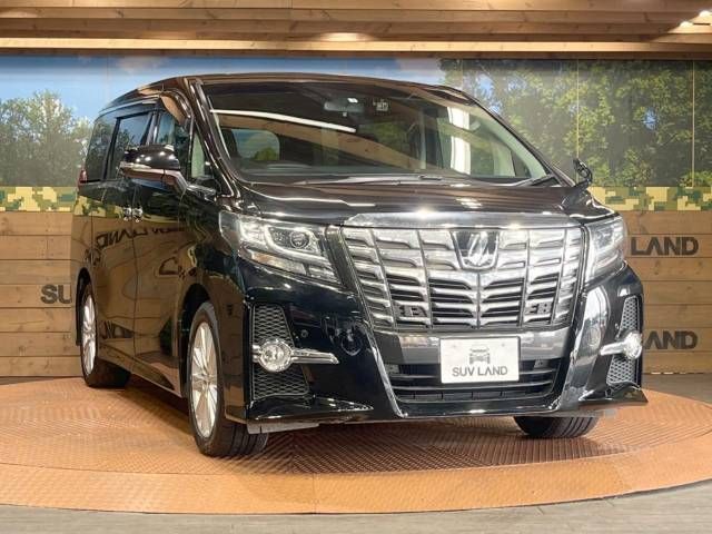 Toyota ALPHARD 2017-03 16989-16