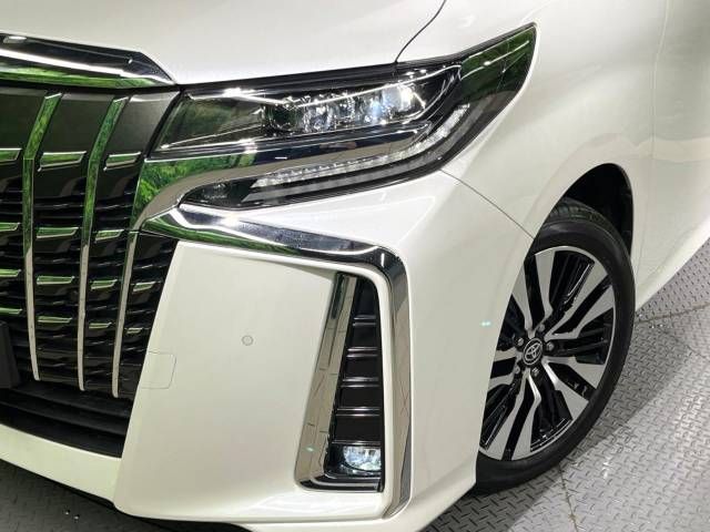 Toyota ALPHARD 2021-03 194447-13