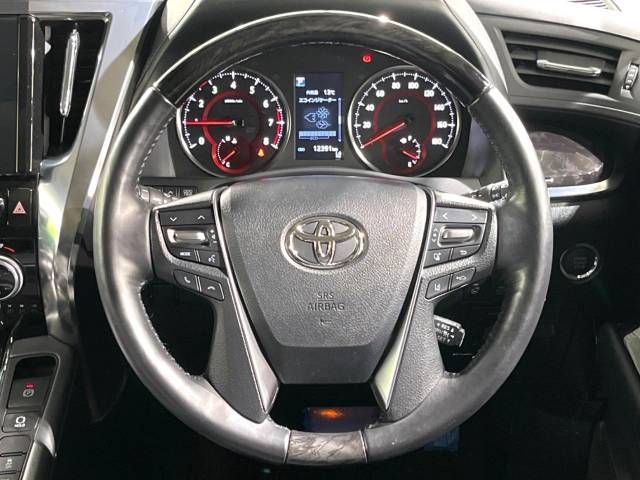 Toyota ALPHARD 2021-03 194447-12