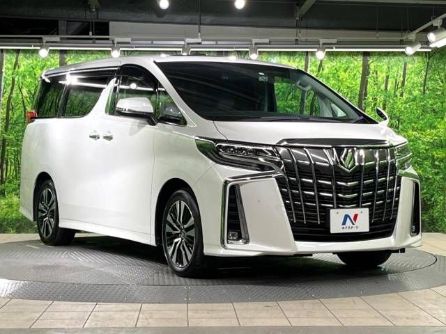 Toyota ALPHARD 2021-03 194447-16