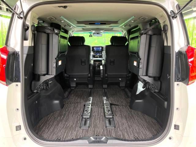 Toyota ALPHARD 2021-03 194447-11