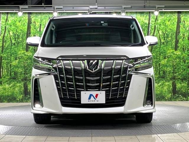 Toyota ALPHARD 2021-03 194447-15