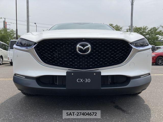 Mazda CX-30 2019-10 331774-3