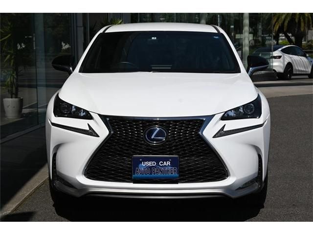 Lexus NX 2017-05 2106-7