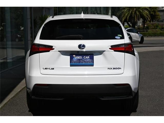 Lexus NX 2017-05 2106-4
