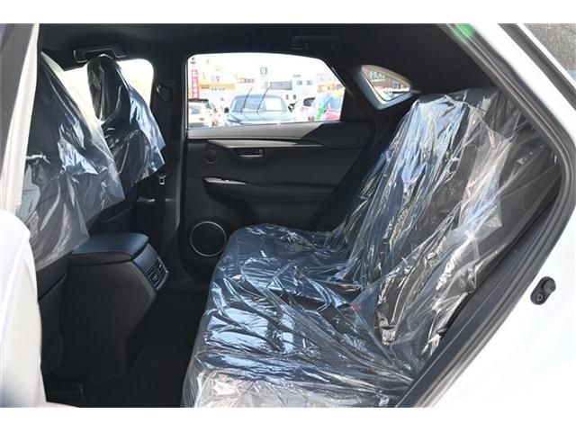 Lexus NX 2017-05 2106-19