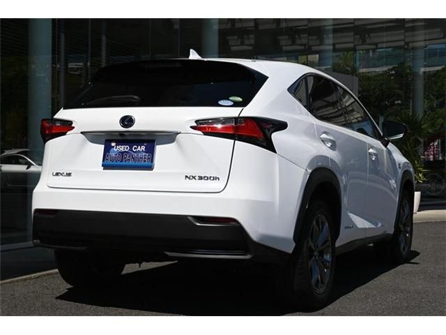 Lexus NX 2017-05 2106-3