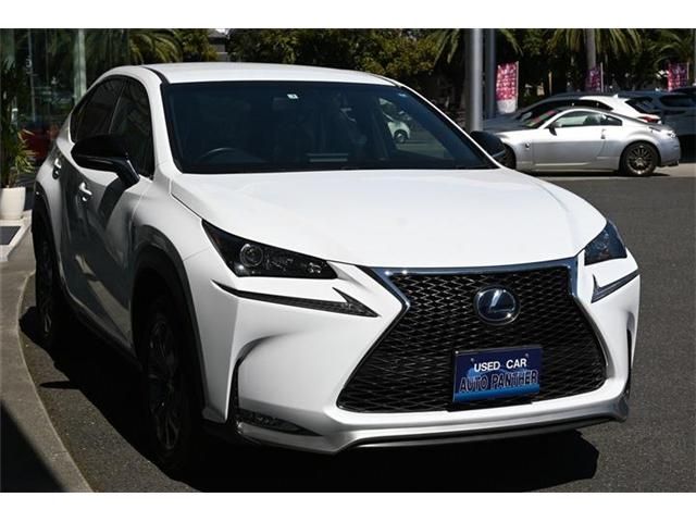 Lexus NX 2017-05 2106-6