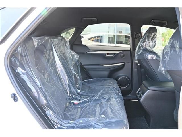 Lexus NX 2017-05 2106-18