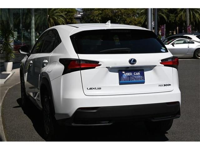 Lexus NX 2017-05 2106-2