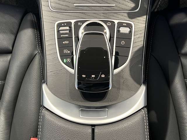 Mercedes Benz C-CLASS 2019-01 20876-16