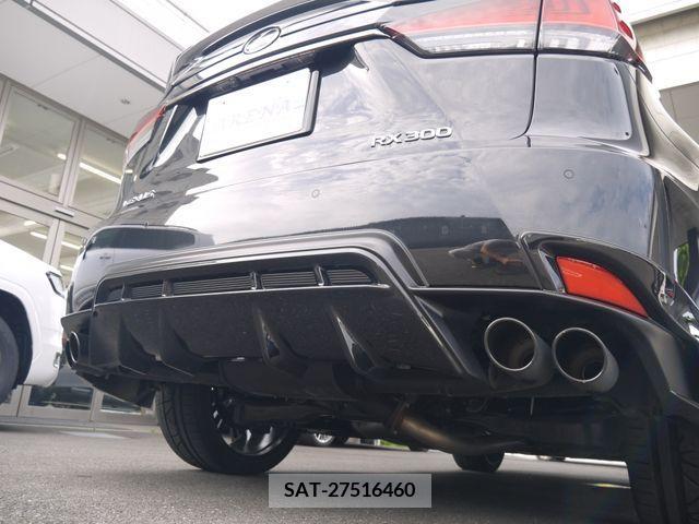Lexus RX 2021-07 217386-4