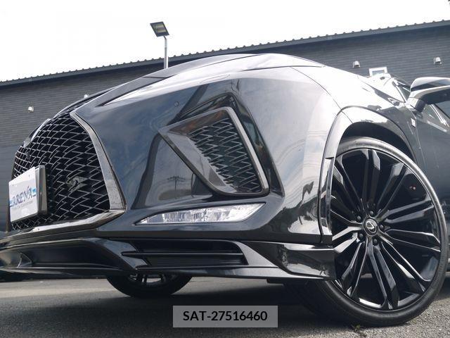 Lexus RX 2021-07 217386-12