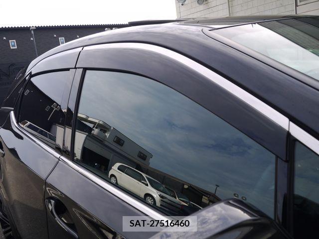 Lexus RX 2021-07 217386-13