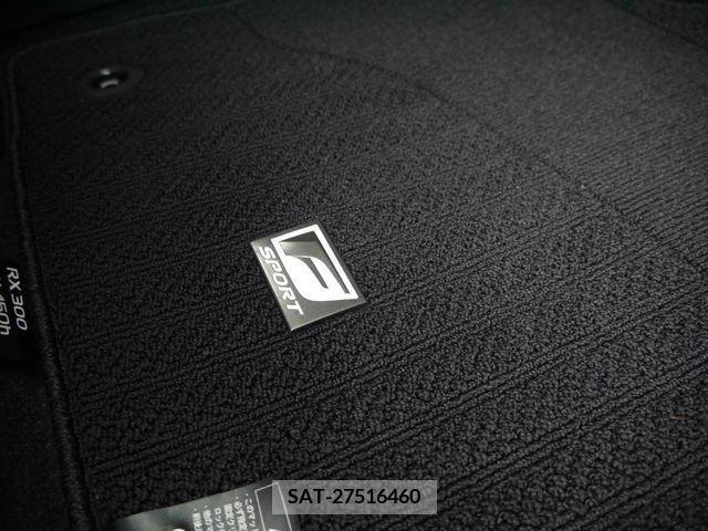 Lexus RX 2021-07 217386-17