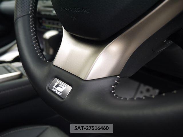 Lexus RX 2021-07 217386-18
