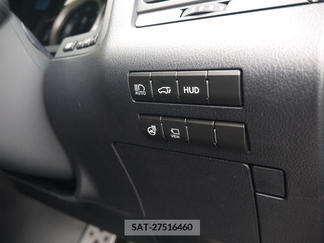 Lexus RX 2021-07 217386-9