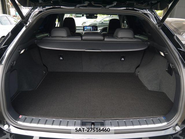 Lexus RX 2021-07 217386-11