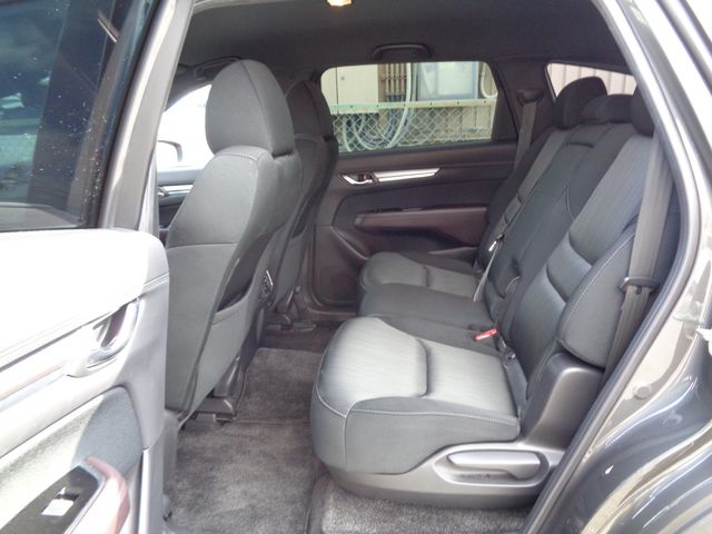Mazda CX-8 2018-03 181635-5