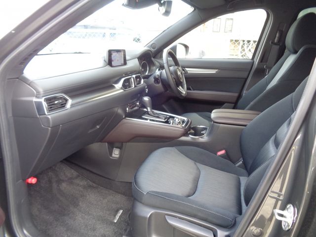 Mazda CX-8 2018-03 181635-4