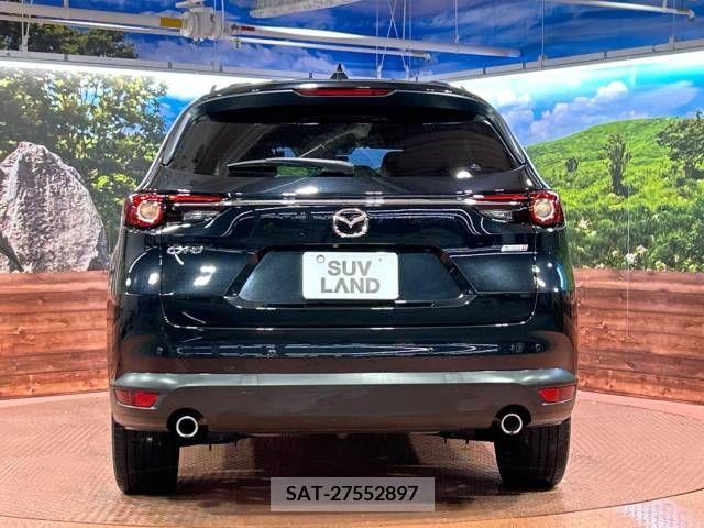 Mazda CX-8 2019-06 308567-15