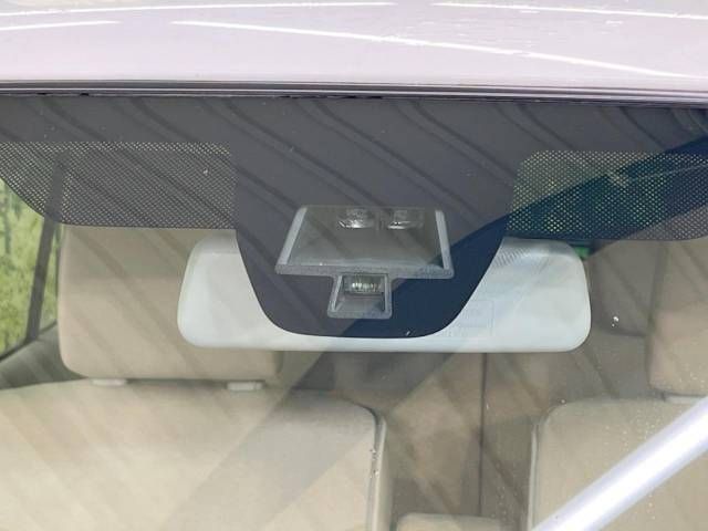 Suzuki LAPIN 2019-01 25241-2