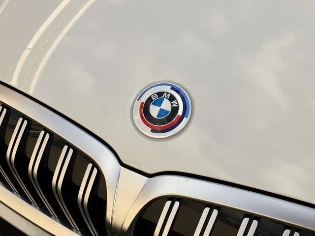 Bmw 3 SERIES 2023-03 18235-6