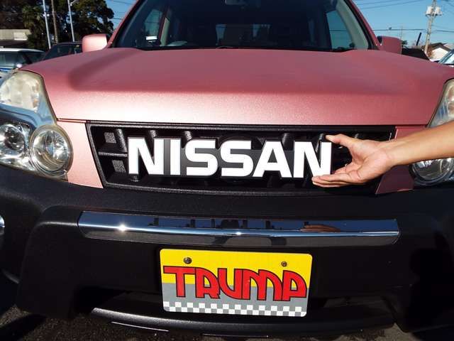 Nissan X-TRAIL 2009-12 185521-4