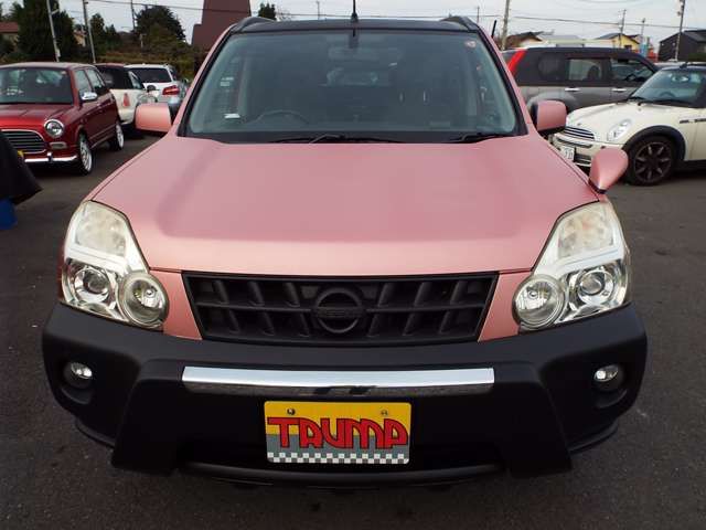 Nissan X-TRAIL 2009-12 185521-3