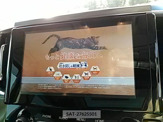 Toyota ALPHARD 2021-07 234054-14