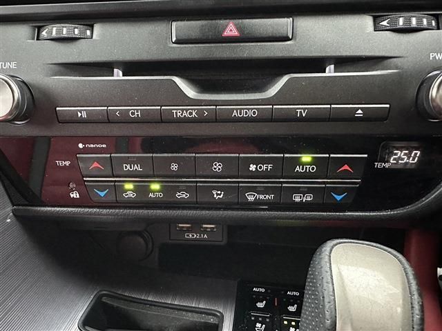 Lexus RX 2021-06 9378-8