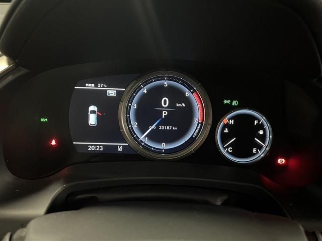 Lexus RX 2021-06 9378-5