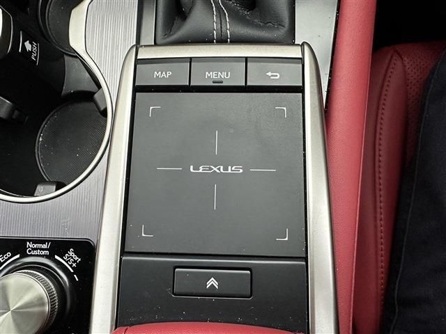 Lexus RX 2021-06 9378-12