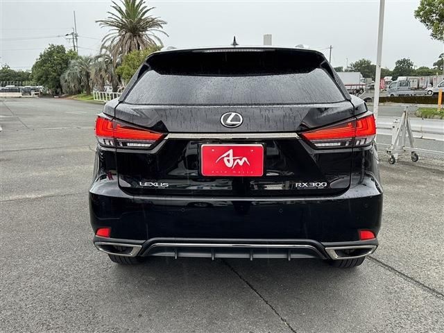 Lexus RX 2021-06 9378-3