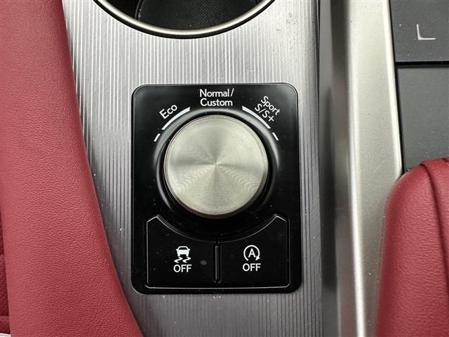 Lexus RX 2021-06 9378-13