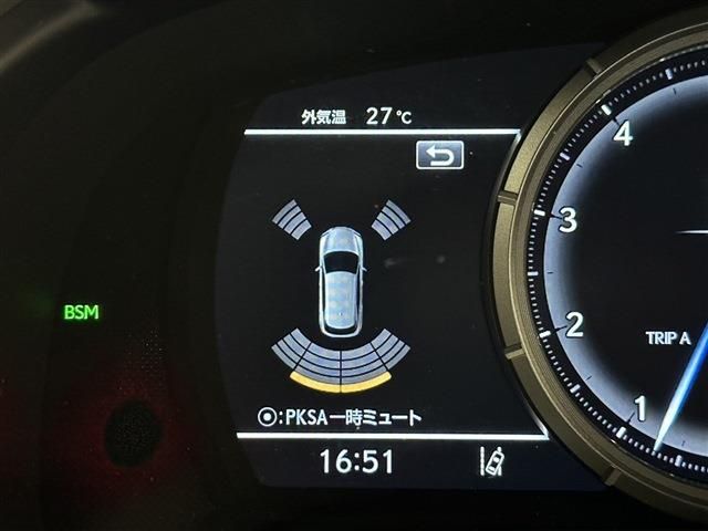 Lexus RX 2021-06 9378-16