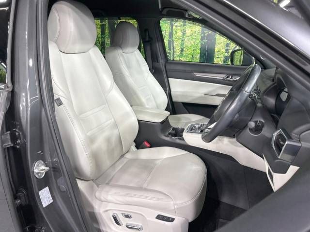 Mazda CX-8 2020-10 193468-8