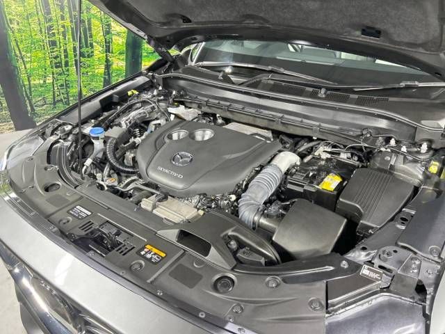 Mazda CX-8 2020-10 193468-19