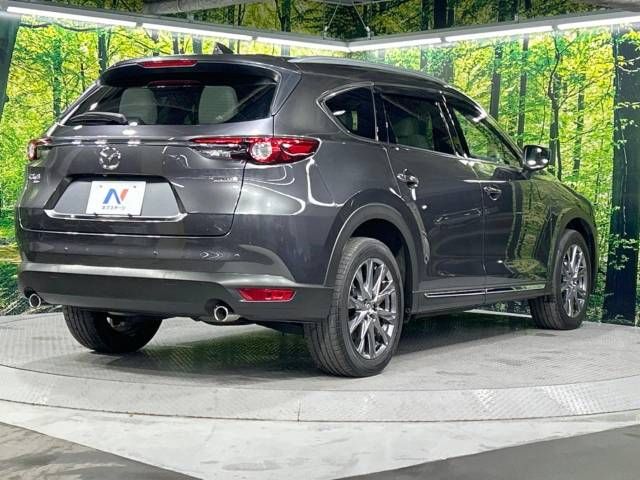 Mazda CX-8 2020-10 193468-18