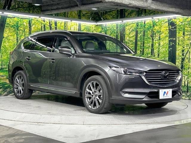 Mazda CX-8 2020-10 193468-17