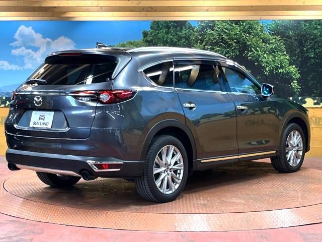 Mazda CX-8 2018-03 187640-17