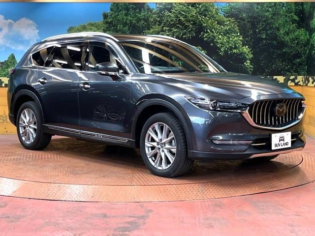 Mazda CX-8 2018-03 187640-16