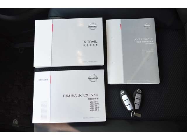 Nissan X-TRAIL 2019-03 12038-18